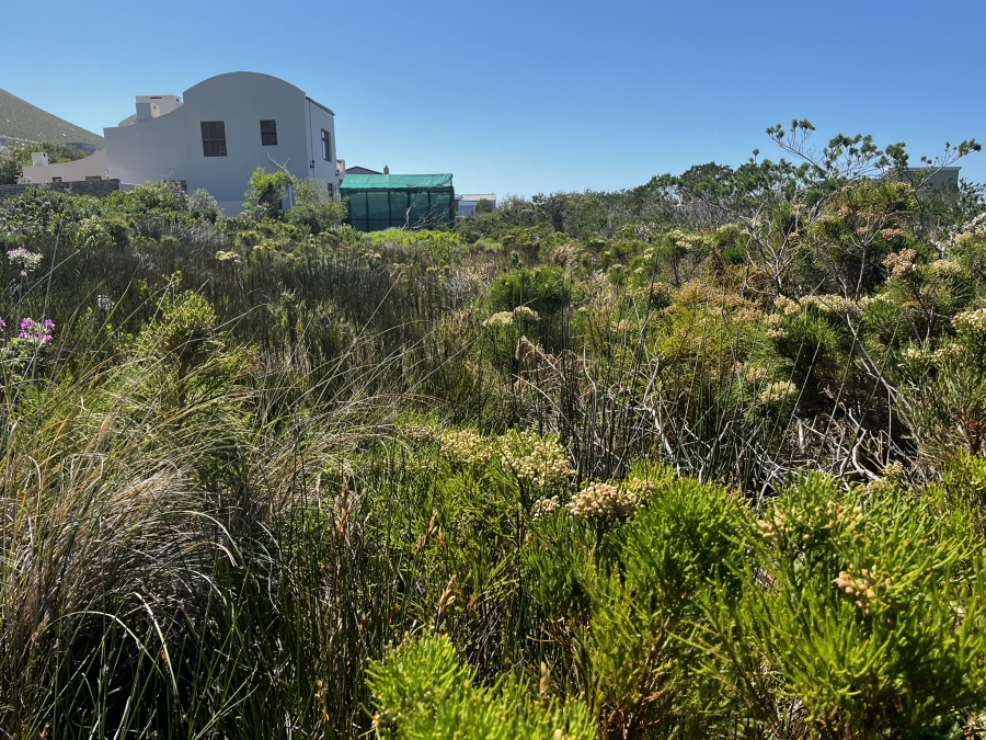 0 Bedroom Property for Sale in Bettys Bay Western Cape